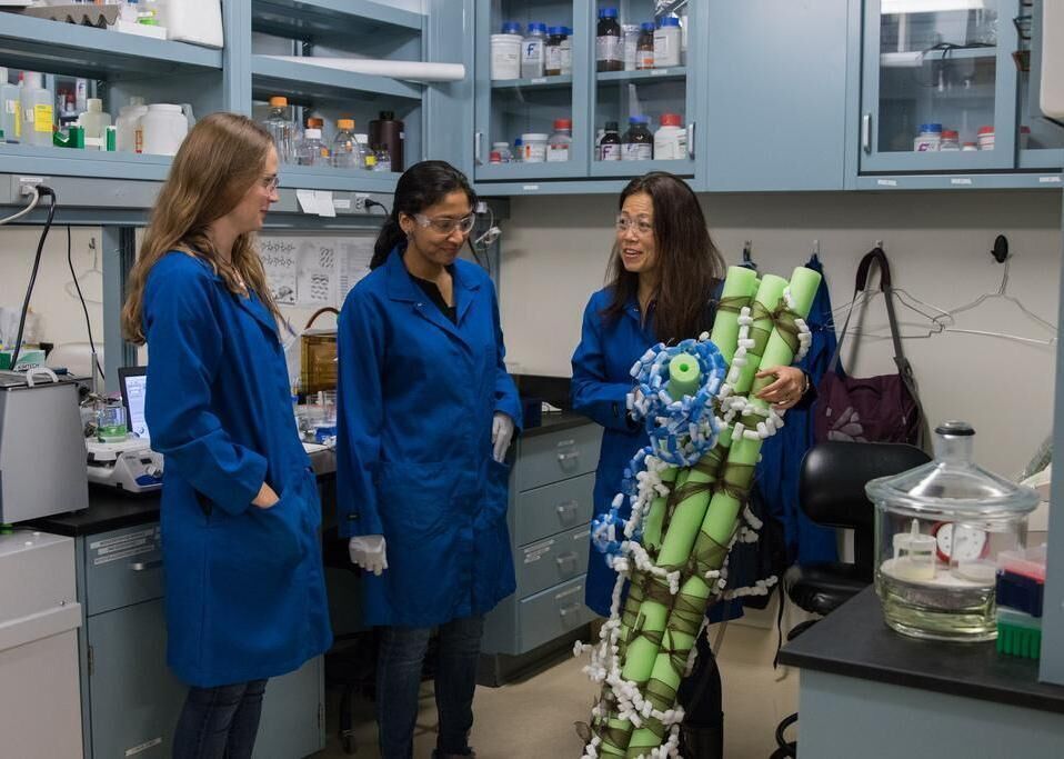 #81. Biological science teachers, postsecondary